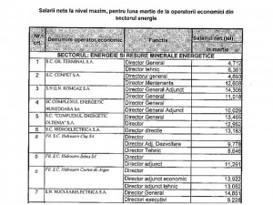 lista salarii directori energie