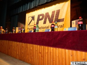 Alegeri PNL Alba 2013014