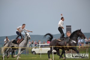 Cascadorii cu cai la Festivalul Cetatilor Dacice de la Cricau32