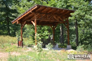 Parcul dendrologic Dr. Ioan Vlad din zona Valea Popii din Alba Iulia 34