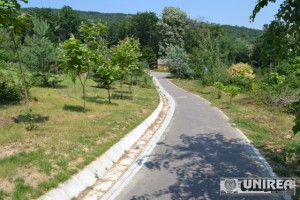 Parcul dendrologic Dr. Ioan Vlad din zona Valea Popii din Alba Iulia 41