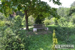 Parcul dendrologic Dr. Ioan Vlad din zona Valea Popii din Alba Iulia 55