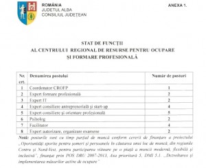 Centru reg Cugir proiect CJ Alba_stat de functii