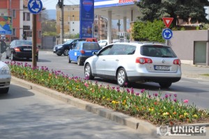 Primavara la Alba Iulia039