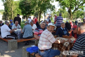 Cetatea Alba Carolina sah remi carti01