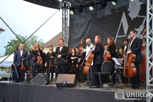 Orchestra de Camera a Judetului Alba062