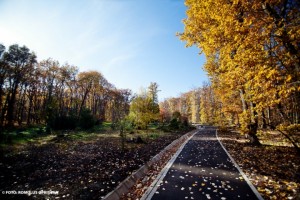 Parcul Dendrologic din Alba Iulia03