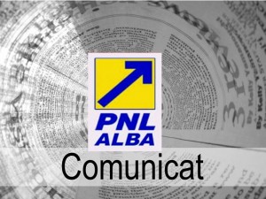 comunicat pnl