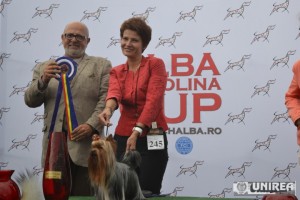 Alba Carolina Cup Alba Iulia (93)
