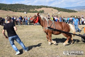 Tropote in Tara Vinului 201415