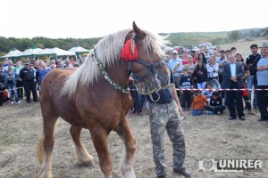 Tropote in Tara Vinului 2014247