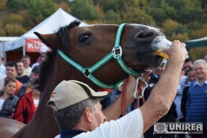 Tropote in Tara Vinului 2014252