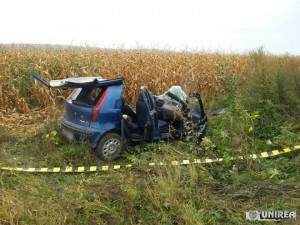 accident mihalt002