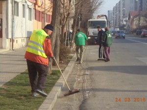 Curatenie Alba Iulia01