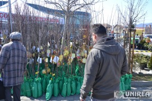 targul gradinarului 2015 alba mall 110